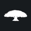 CHINA RUYI HOLDINGS LTD logo