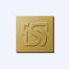 TS FINANCIAL HOLDING logo