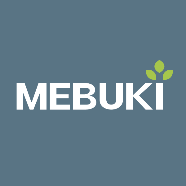 MEBUKI FINANCIAL GROUP INC logo