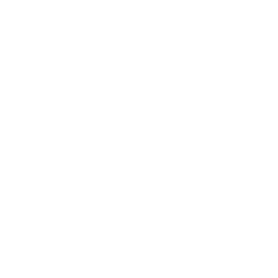ARCH CAPIT COM USD0.01 logo