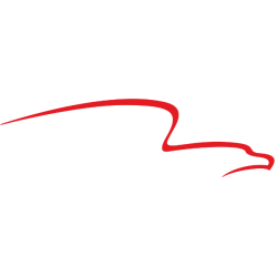 American Financial Group Inc/OH logo