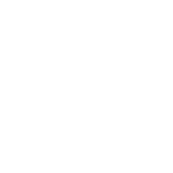ALBEMARLE CORP logo