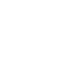 ALNYLAM PHARMACEUTICALS, INC. logo