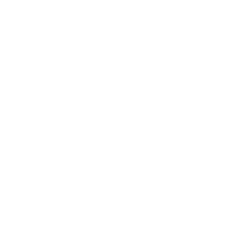 ARES CAPITAL CORP logo