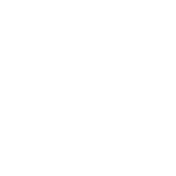 ASML HOLDING NV NY REG SHS NY REG SHRS EUR.09 logo