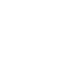 Axon Enterprise Inc logo