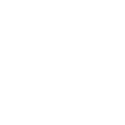 BOEING CO logo