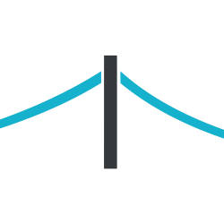BRIDGEBIO PHARMA INC logo