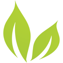 Bright Green Corp logo