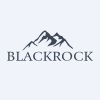 Blackrock Silver Corp. logo