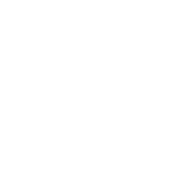 BlossomHill Therapeutics, Inc. logo