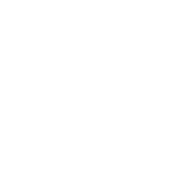 Cheesecake Factory Inc/The logo