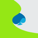 CAPGEMINI SE logo