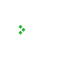 CBOE HOLDINGS INC logo