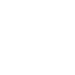 Chewy Inc logo