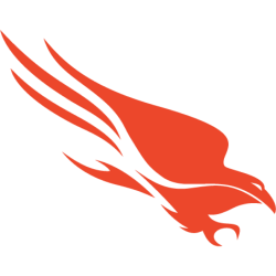 CROWDSTRIKE HOLDINGS INC   A logo