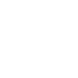 DR HORTON INC logo