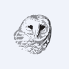 Dana Unconstrained Equity ETF logo