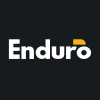 Enduro Metals Corporation logo