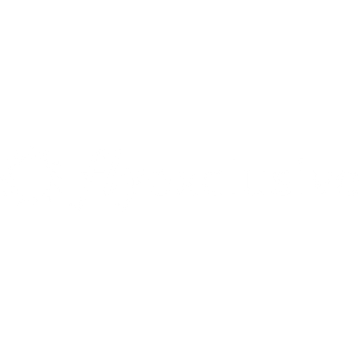 FLYX.WS logo
