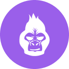 Paragon 28, Inc. logo