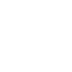 Gap Inc/The logo