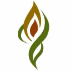 INTERNATIONAL HOLDING CO PJSC logo