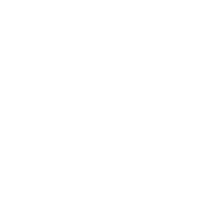 NORDSTROM INC logo