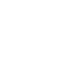 KIRKLAND'S, INC logo