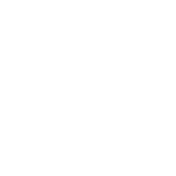CARMAX INC logo