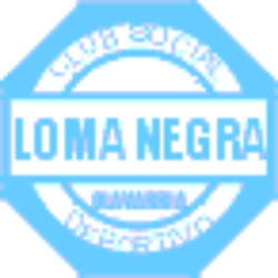 Loma Negra Compania Industrial Argentina Sociedad Anonima logo