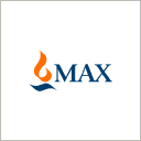 MAX FINANCIAL SERVICES LTD logo