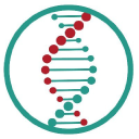 Quantum Cyber N.V. logo