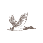 Duckhorn Portfolio, Inc. logo