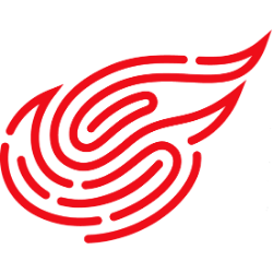 NETEASE INC ADR ADR USD.0001 logo