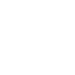 NuZee, Inc. logo
