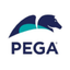 PEGASYSTEMS INC logo