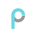 Pony AI Inc. logo