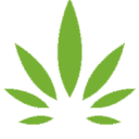 Raphael Pharmaceutical Inc. logo