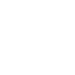 SANOFI. EUR 2.0 ADR logo