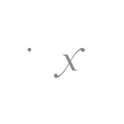 Direxion Daily Semiconductor Bull 3X ETF logo