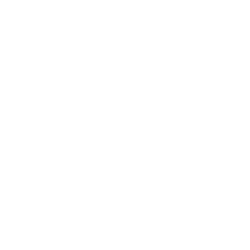 TAL EDUCATION GROUP- ADR logo