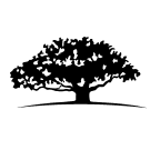 WISDOMTREE BBG logo