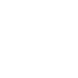 VISA INC CLASS A SHARES logo