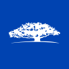WisdomTree True Emerging Markets Fund logo